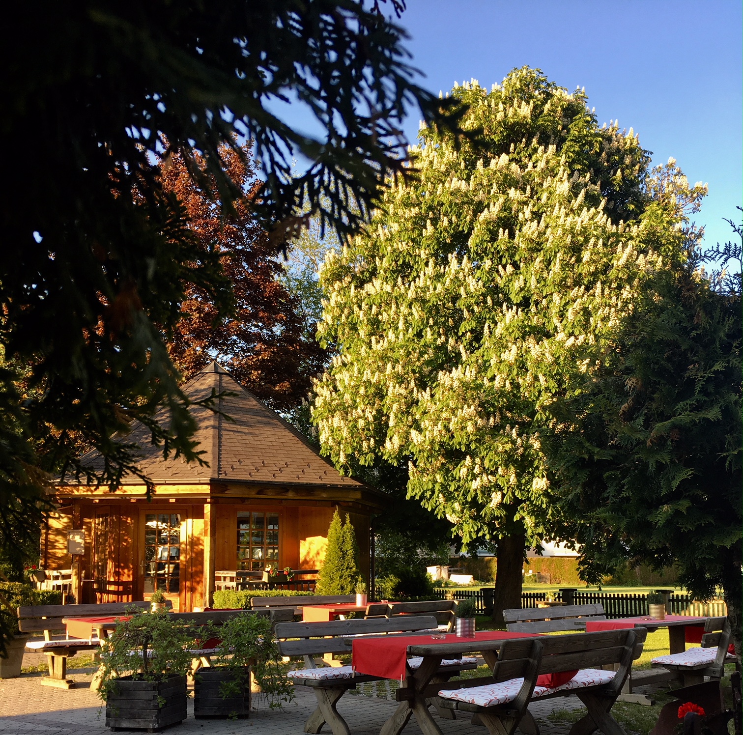 Wanderurlaub - Hotel-Schwerpunkt: Wandern & Kulinarik - Filzmoos (Filzmoos) - Scheffer`s Hotel